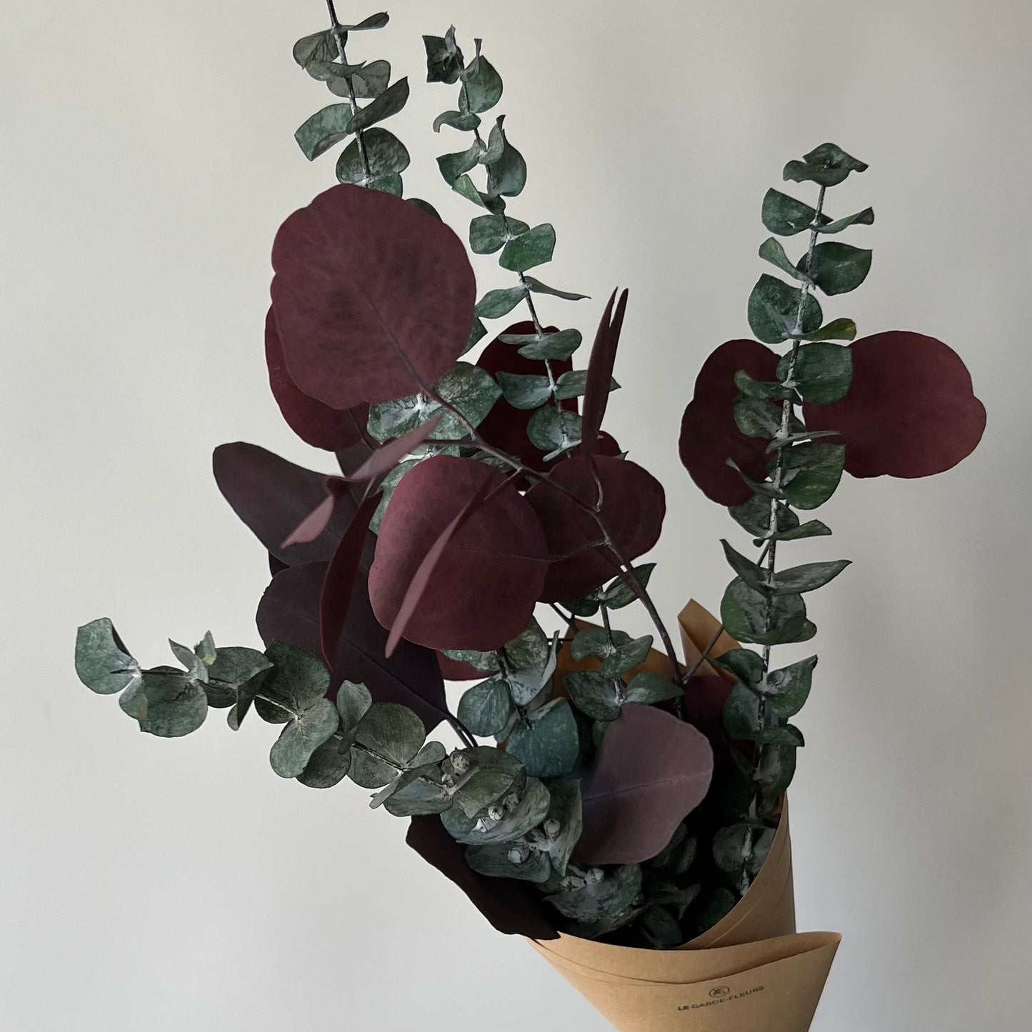 Duo d'eucalyptus des fêtes